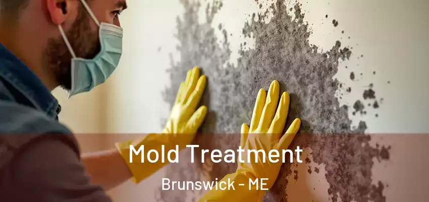  Mold Treatment Brunswick - ME