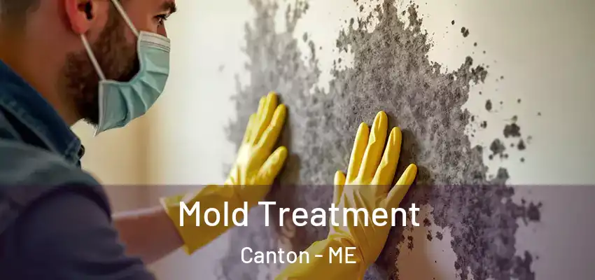  Mold Treatment Canton - ME
