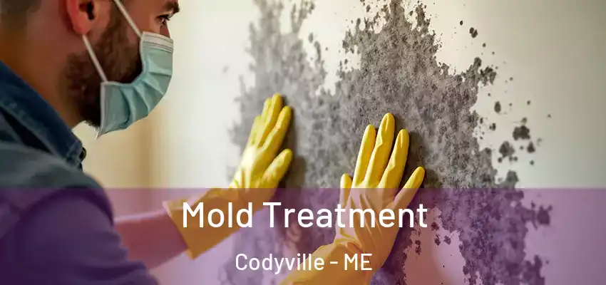  Mold Treatment Codyville - ME