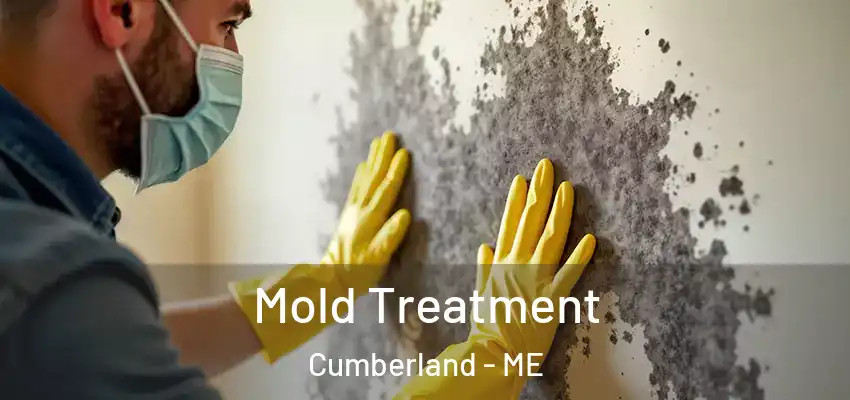  Mold Treatment Cumberland - ME
