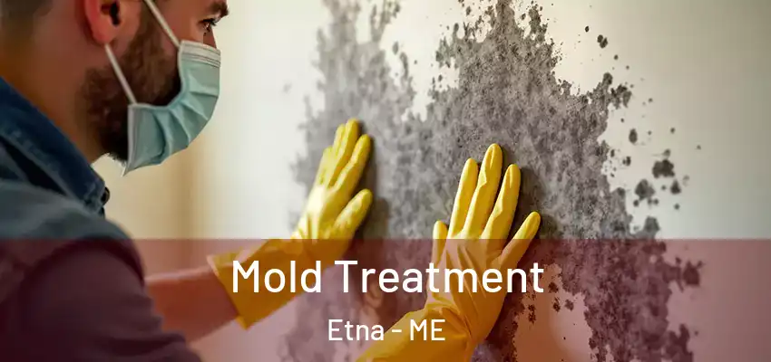  Mold Treatment Etna - ME