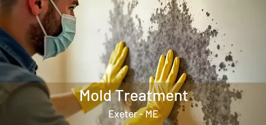  Mold Treatment Exeter - ME