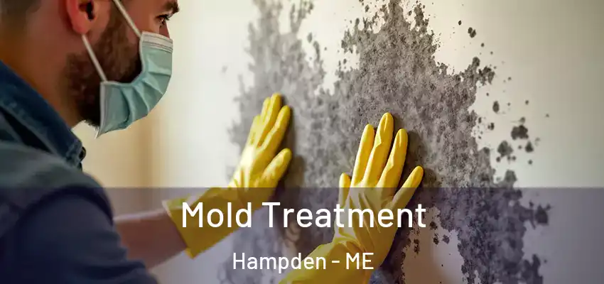  Mold Treatment Hampden - ME