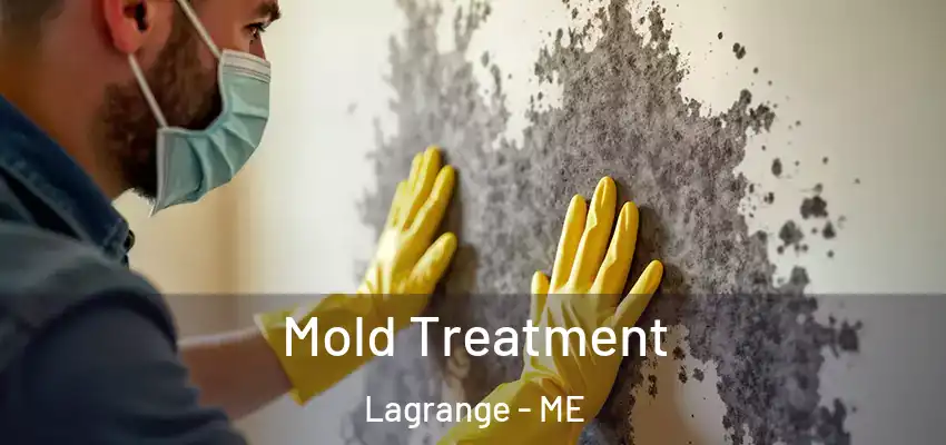  Mold Treatment Lagrange - ME