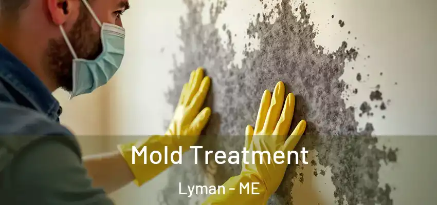  Mold Treatment Lyman - ME