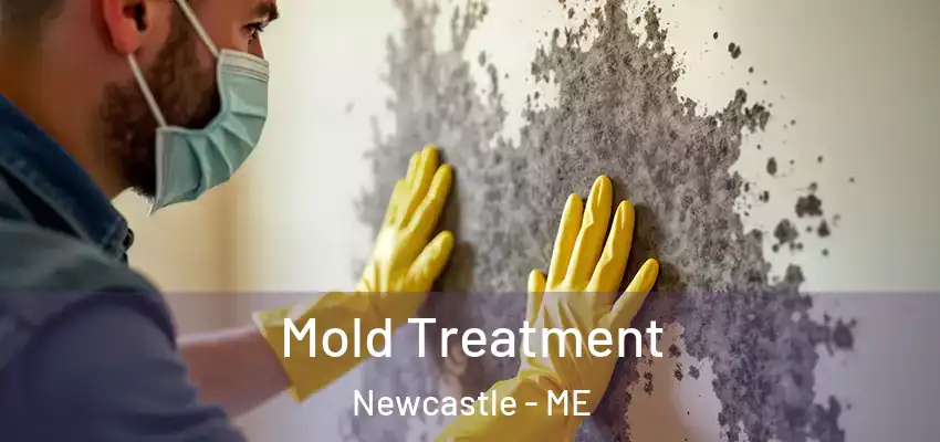  Mold Treatment Newcastle - ME