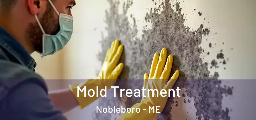  Mold Treatment Nobleboro - ME