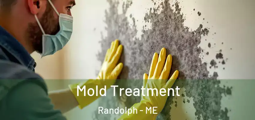  Mold Treatment Randolph - ME