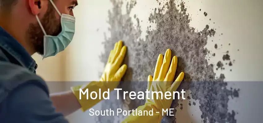  Mold Treatment South Portland - ME