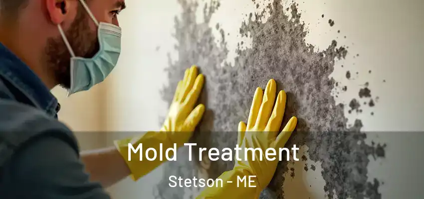  Mold Treatment Stetson - ME