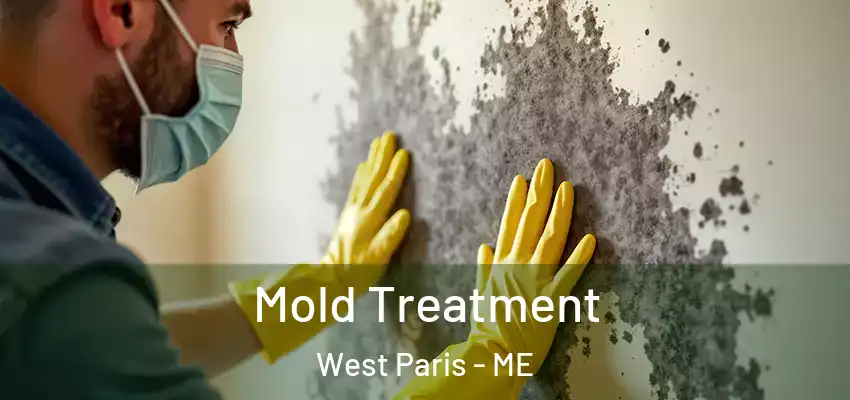  Mold Treatment West Paris - ME