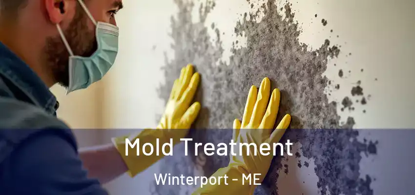  Mold Treatment Winterport - ME