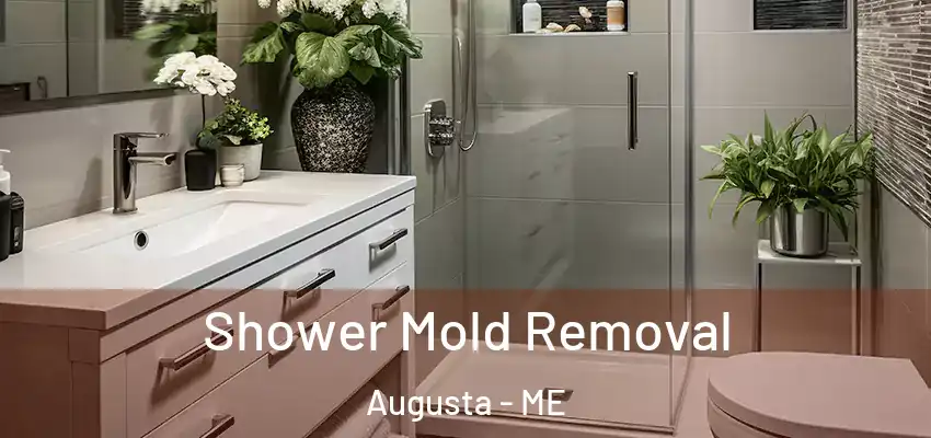  Shower Mold Removal Augusta - ME