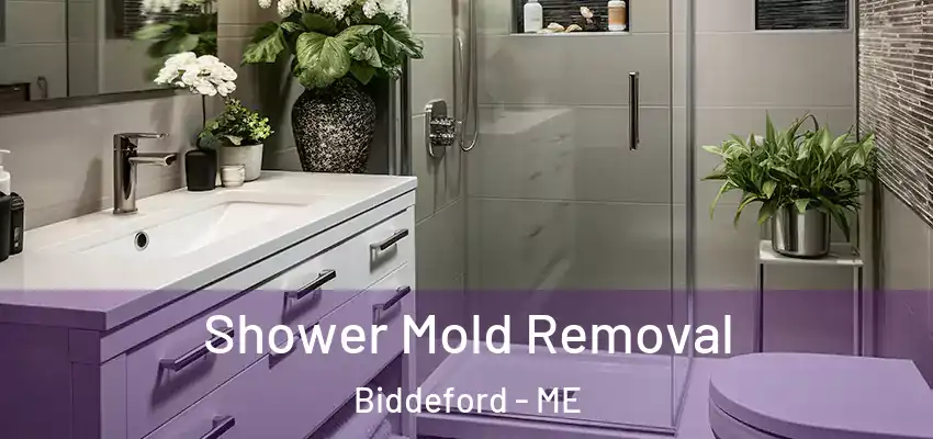  Shower Mold Removal Biddeford - ME