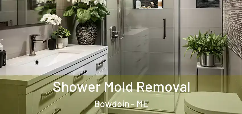  Shower Mold Removal Bowdoin - ME