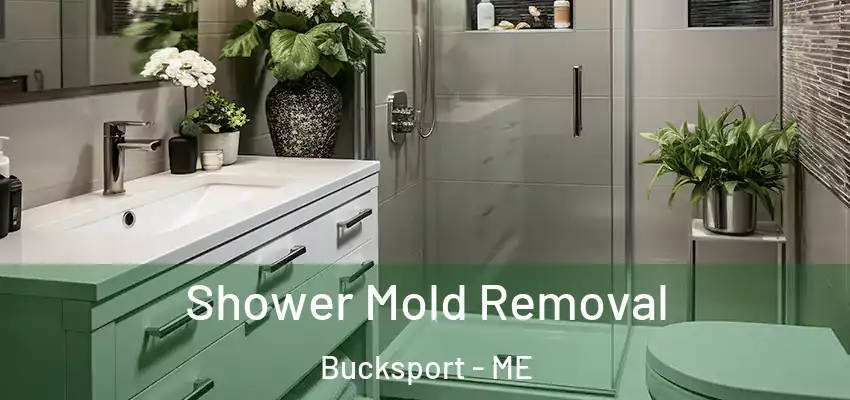  Shower Mold Removal Bucksport - ME