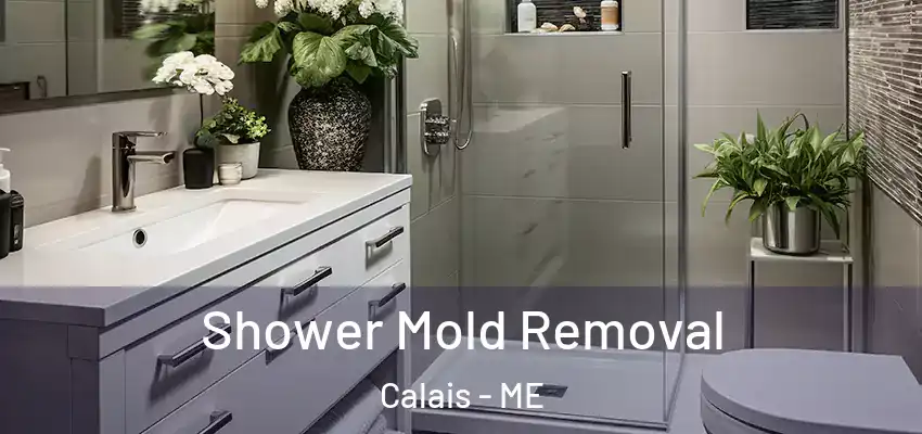 Shower Mold Removal Calais - ME