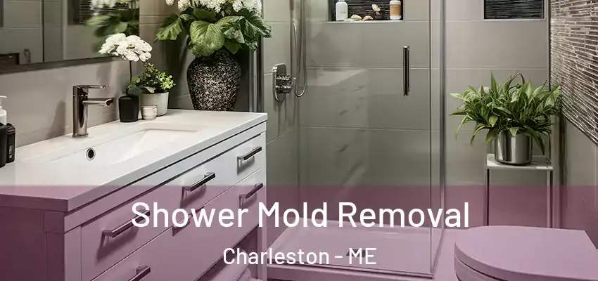  Shower Mold Removal Charleston - ME