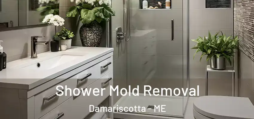 Shower Mold Removal Damariscotta - ME