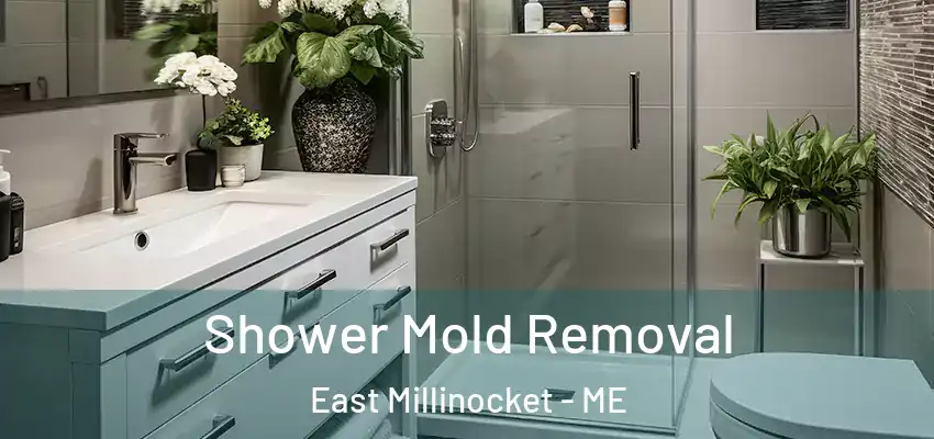  Shower Mold Removal East Millinocket - ME