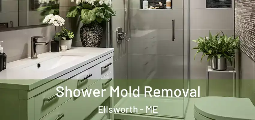  Shower Mold Removal Ellsworth - ME