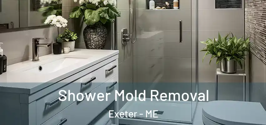  Shower Mold Removal Exeter - ME