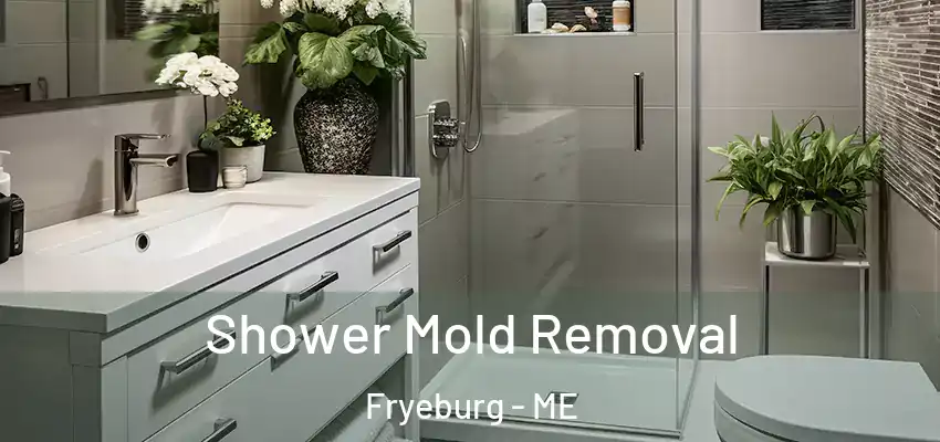  Shower Mold Removal Fryeburg - ME
