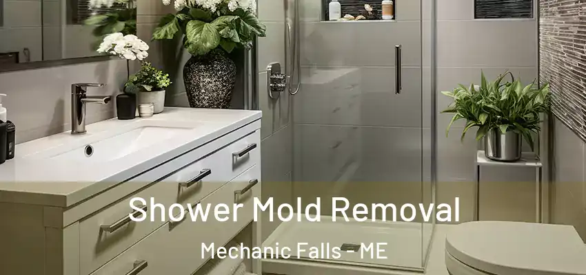  Shower Mold Removal Mechanic Falls - ME