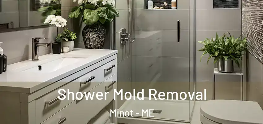  Shower Mold Removal Minot - ME
