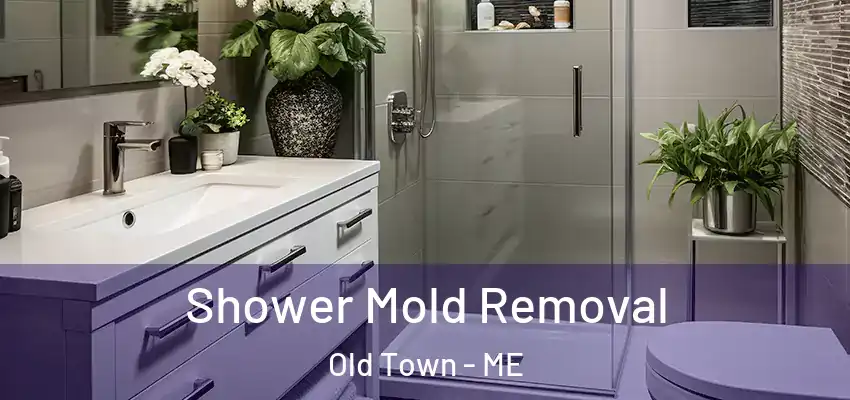  Shower Mold Removal Old Town - ME