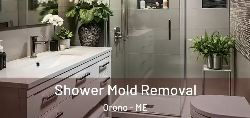  Shower Mold Removal Orono - ME