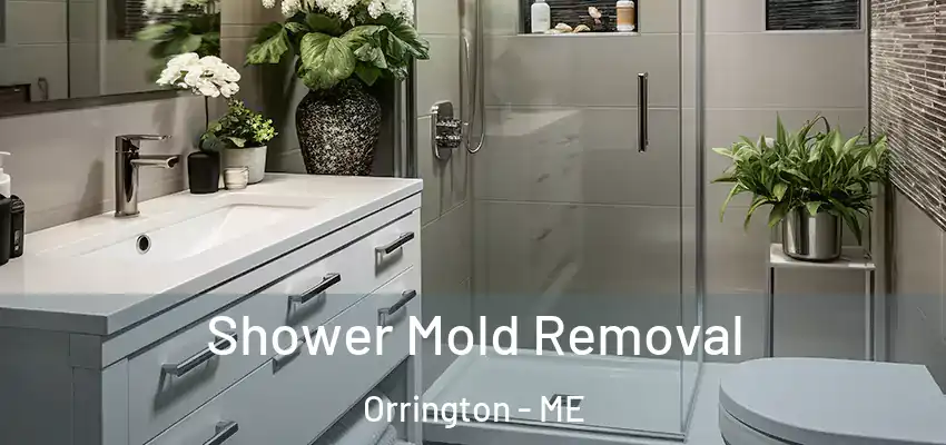  Shower Mold Removal Orrington - ME