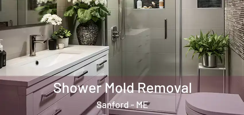  Shower Mold Removal Sanford - ME