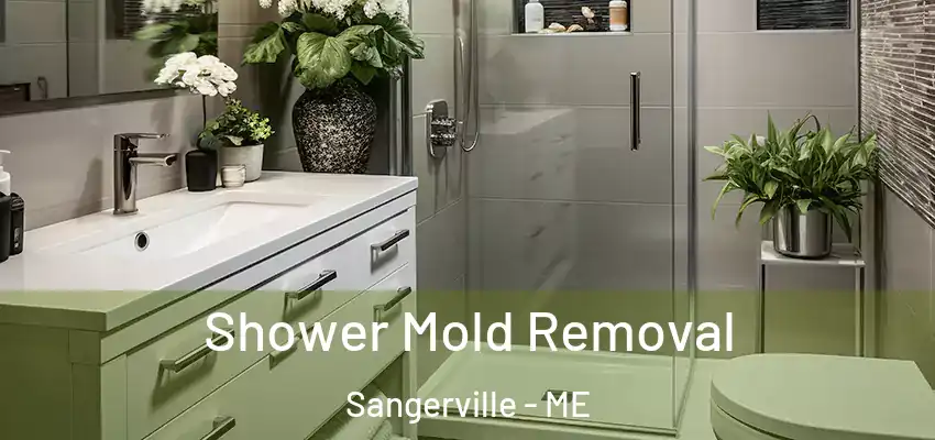  Shower Mold Removal Sangerville - ME