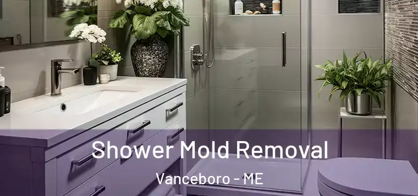  Shower Mold Removal Vanceboro - ME