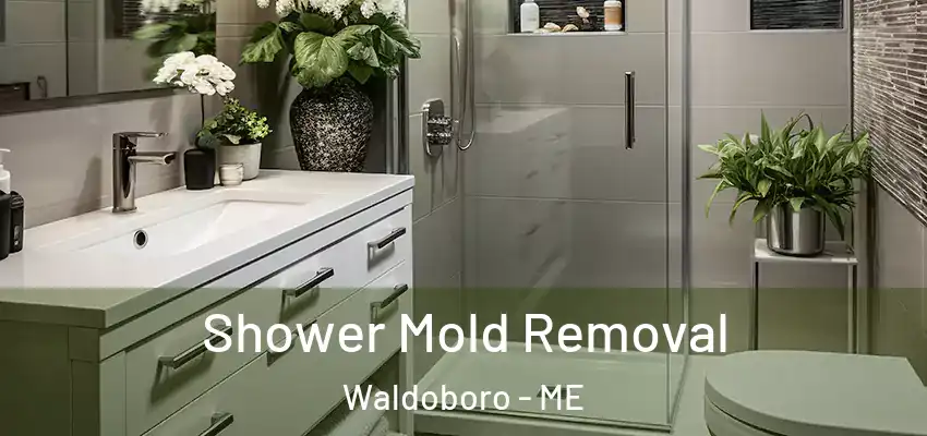  Shower Mold Removal Waldoboro - ME
