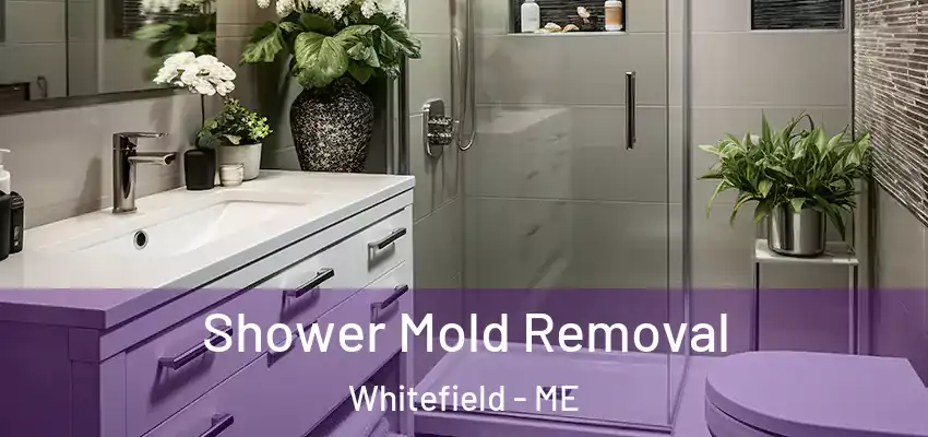  Shower Mold Removal Whitefield - ME