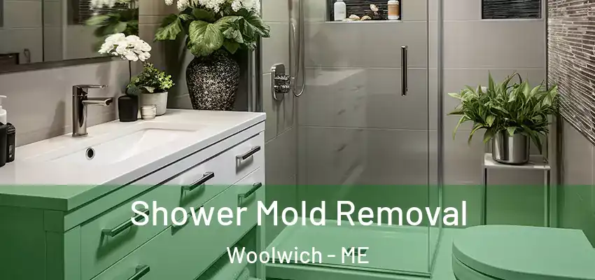  Shower Mold Removal Woolwich - ME